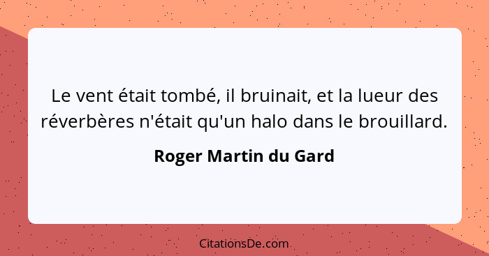 Le vent était tombé, il bruinait, et la lueur des réverbères n'était qu'un halo dans le brouillard.... - Roger Martin du Gard