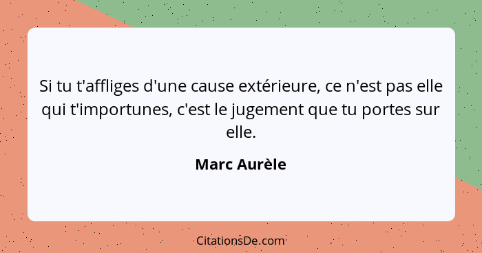 Si tu t'affliges d'une cause extérieure, ce n'est pas elle qui t'importunes, c'est le jugement que tu portes sur elle.... - Marc Aurèle