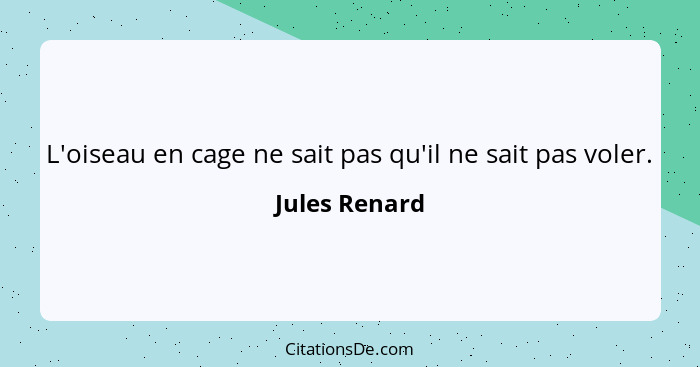 L'oiseau en cage ne sait pas qu'il ne sait pas voler.... - Jules Renard