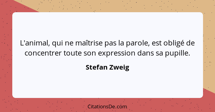 L'animal, qui ne maîtrise pas la parole, est obligé de concentrer toute son expression dans sa pupille.... - Stefan Zweig