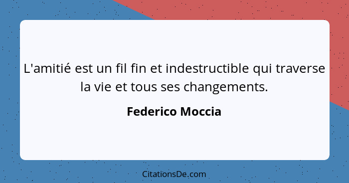 L'amitié est un fil fin et indestructible qui traverse la vie et tous ses changements.... - Federico Moccia