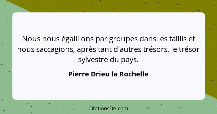 Nous nous égaillions par groupes dans les taillis et nous saccagions, après tant d'autres trésors, le trésor sylvestre du p... - Pierre Drieu la Rochelle