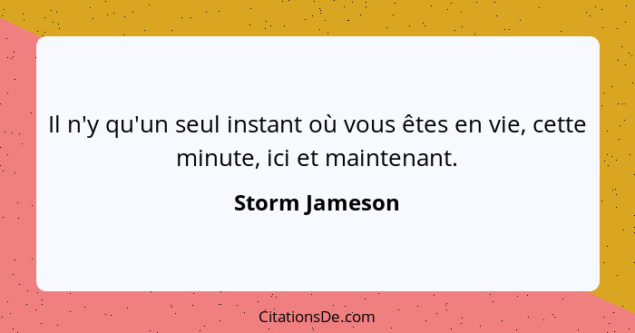 Il n'y qu'un seul instant où vous êtes en vie, cette minute, ici et maintenant.... - Storm Jameson