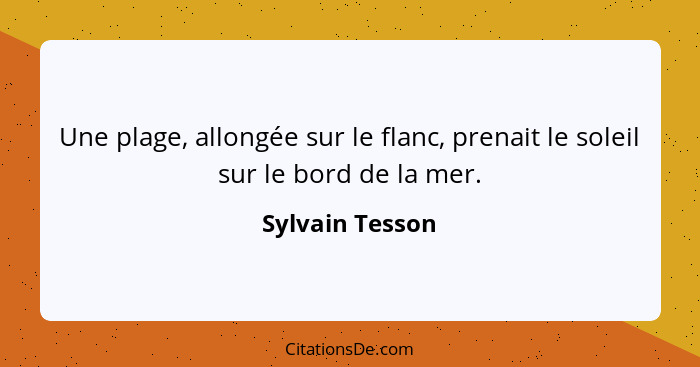 Une plage, allongée sur le flanc, prenait le soleil sur le bord de la mer.... - Sylvain Tesson