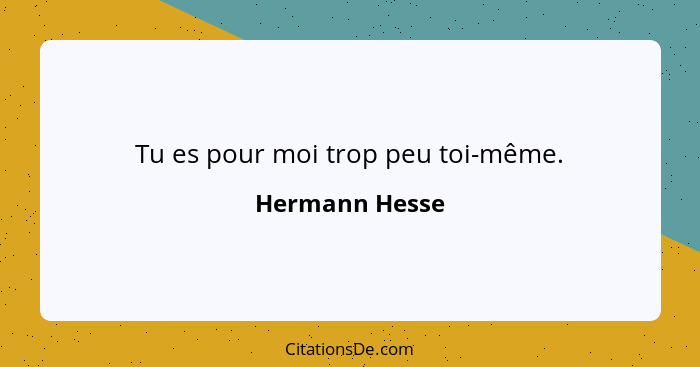 Tu es pour moi trop peu toi-même.... - Hermann Hesse