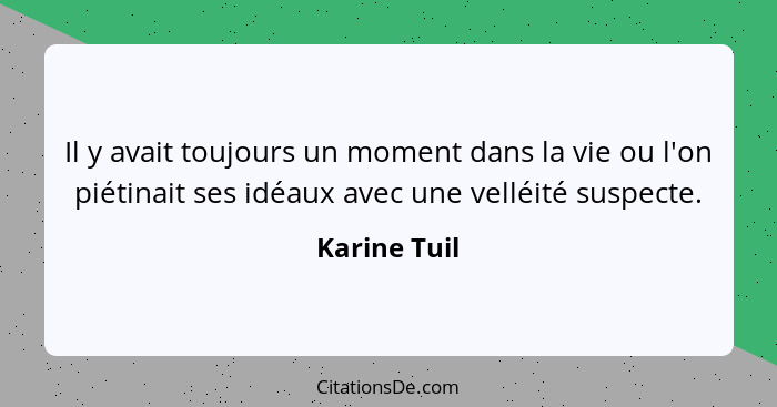 Il y avait toujours un moment dans la vie ou l'on piétinait ses idéaux avec une velléité suspecte.... - Karine Tuil