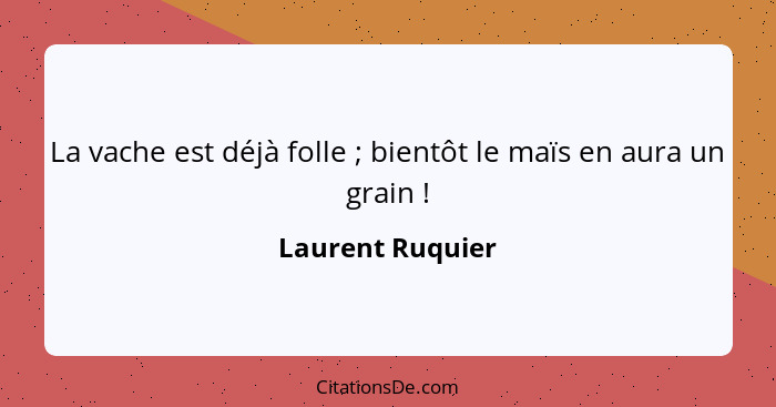 La vache est déjà folle ; bientôt le maïs en aura un grain !... - Laurent Ruquier