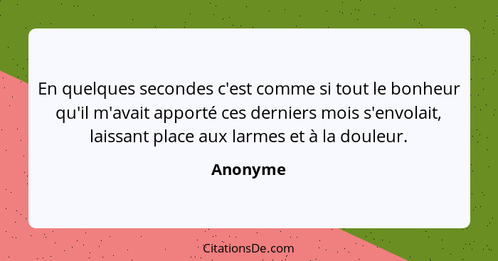 En quelques secondes c'est comme si tout le bonheur qu'il m'avait apporté ces derniers mois s'envolait, laissant place aux larmes et à la do... - Anonyme