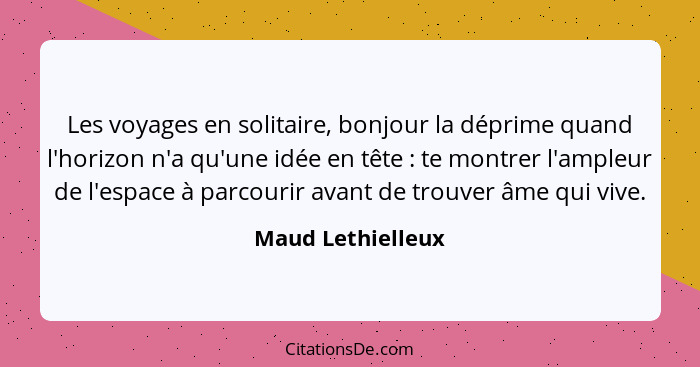 Les voyages en solitaire, bonjour la déprime quand l'horizon n'a qu'une idée en tête : te montrer l'ampleur de l'espace à parc... - Maud Lethielleux