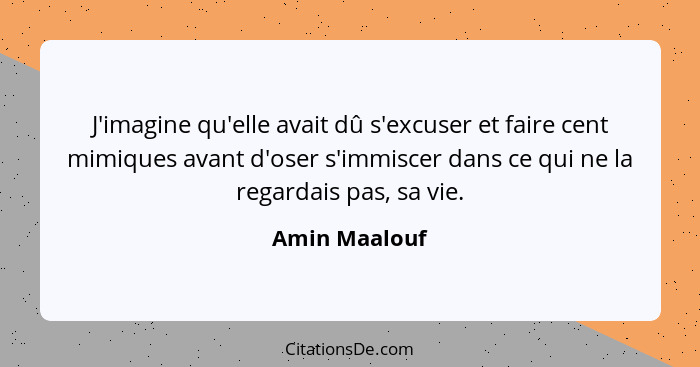 J'imagine qu'elle avait dû s'excuser et faire cent mimiques avant d'oser s'immiscer dans ce qui ne la regardais pas, sa vie.... - Amin Maalouf