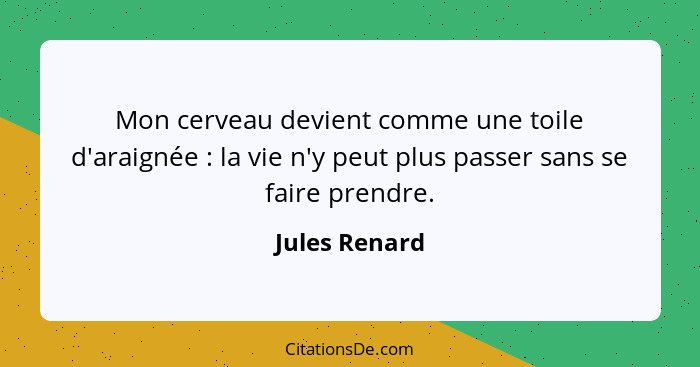 Mon cerveau devient comme une toile d'araignée : la vie n'y peut plus passer sans se faire prendre.... - Jules Renard