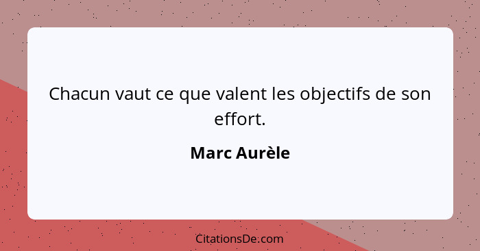 Chacun vaut ce que valent les objectifs de son effort.... - Marc Aurèle