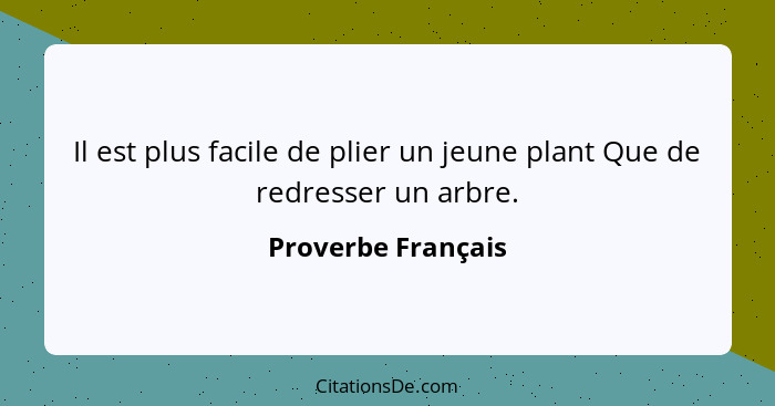 Il est plus facile de plier un jeune plant Que de redresser un arbre.... - Proverbe Français