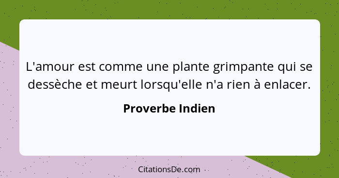 L'amour est comme une plante grimpante qui se dessèche et meurt lorsqu'elle n'a rien à enlacer.... - Proverbe Indien