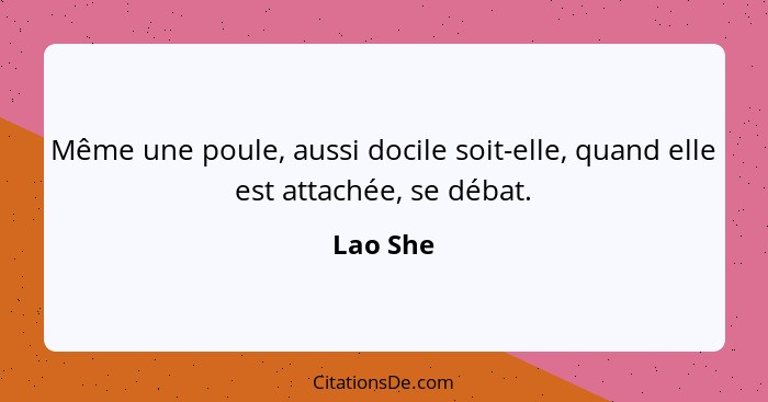 Même une poule, aussi docile soit-elle, quand elle est attachée, se débat.... - Lao She