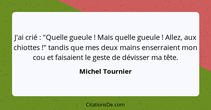 J'ai crié : "Quelle gueule ! Mais quelle gueule ! Allez, aux chiottes !" tandis que mes deux mains enserraient m... - Michel Tournier