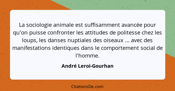 La sociologie animale est suffisamment avancée pour qu'on puisse confronter les attitudes de politesse chez les loups, les danse... - André Leroi-Gourhan