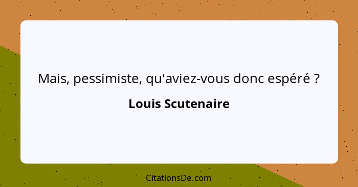 Mais, pessimiste, qu'aviez-vous donc espéré ?... - Louis Scutenaire