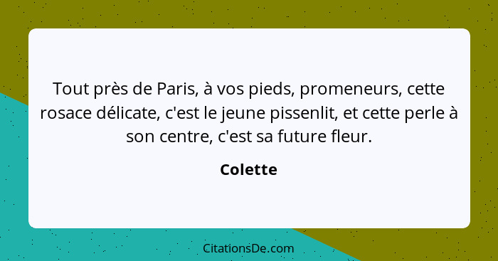 Tout près de Paris, à vos pieds, promeneurs, cette rosace délicate, c'est le jeune pissenlit, et cette perle à son centre, c'est sa future f... - Colette