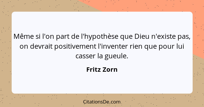 Même si l'on part de l'hypothèse que Dieu n'existe pas, on devrait positivement l'inventer rien que pour lui casser la gueule.... - Fritz Zorn