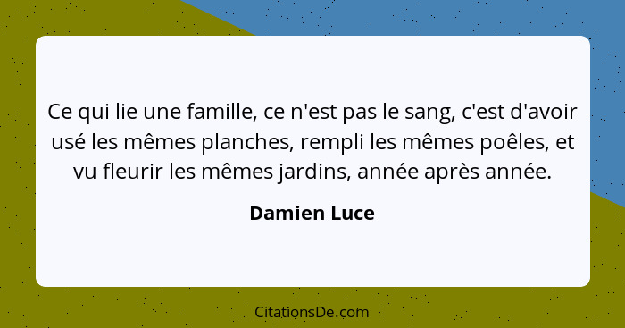 Ce qui lie une famille, ce n'est pas le sang, c'est d'avoir usé les mêmes planches, rempli les mêmes poêles, et vu fleurir les mêmes jar... - Damien Luce