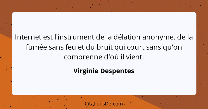 Internet est l'instrument de la délation anonyme, de la fumée sans feu et du bruit qui court sans qu'on comprenne d'où il vient.... - Virginie Despentes