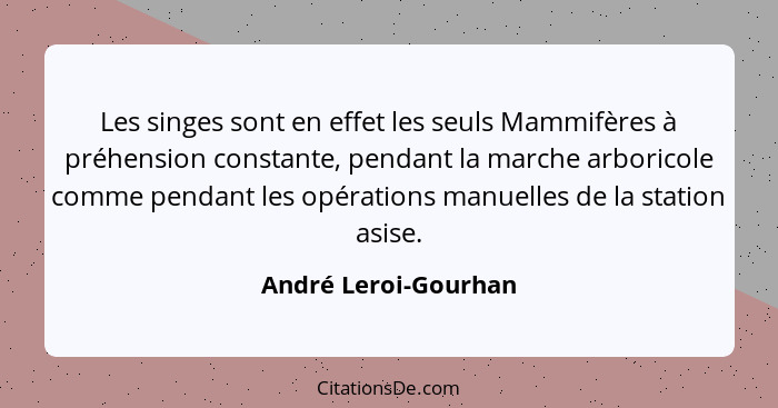 Les singes sont en effet les seuls Mammifères à préhension constante, pendant la marche arboricole comme pendant les opérations... - André Leroi-Gourhan