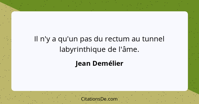 Il n'y a qu'un pas du rectum au tunnel labyrinthique de l'âme.... - Jean Demélier