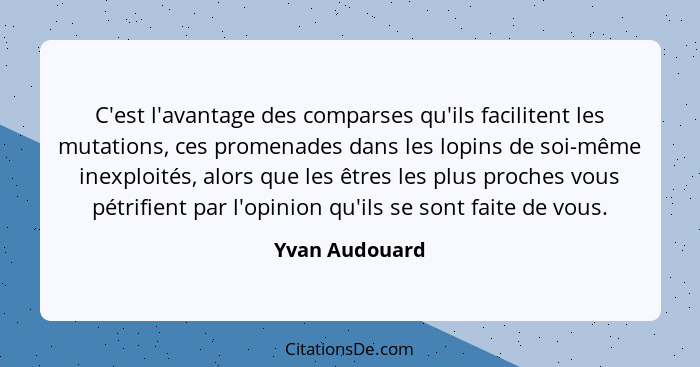 C'est l'avantage des comparses qu'ils facilitent les mutations, ces promenades dans les lopins de soi-même inexploités, alors que les... - Yvan Audouard