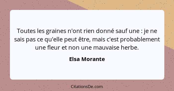 Toutes les graines n'ont rien donné sauf une : je ne sais pas ce qu'elle peut être, mais c'est probablement une fleur et non une m... - Elsa Morante