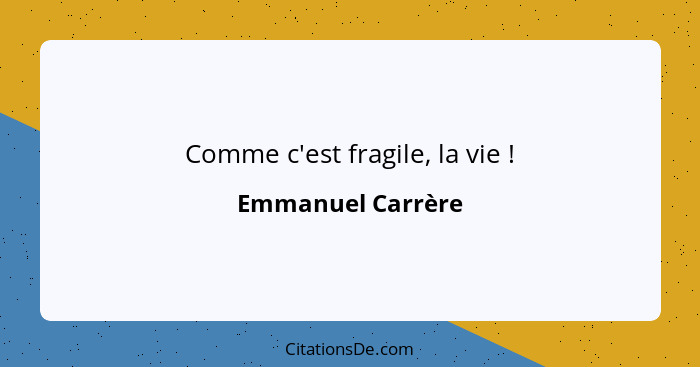 Comme c'est fragile, la vie !... - Emmanuel Carrère