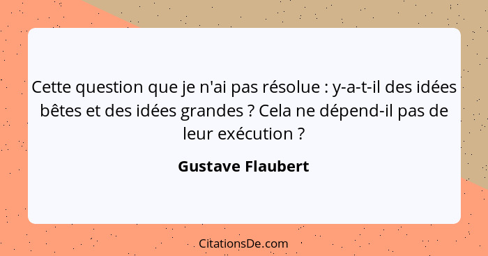 Cette question que je n'ai pas résolue : y-a-t-il des idées bêtes et des idées grandes ? Cela ne dépend-il pas de leur ex... - Gustave Flaubert