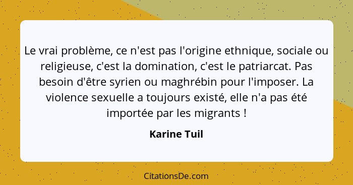 Le vrai problème, ce n'est pas l'origine ethnique, sociale ou religieuse, c'est la domination, c'est le patriarcat. Pas besoin d'être sy... - Karine Tuil