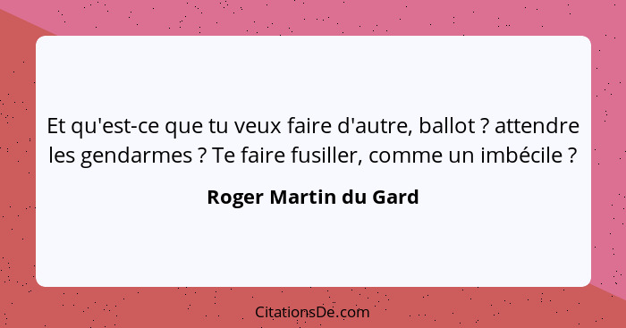 Et qu'est-ce que tu veux faire d'autre, ballot ? attendre les gendarmes ? Te faire fusiller, comme un imbécile ?... - Roger Martin du Gard