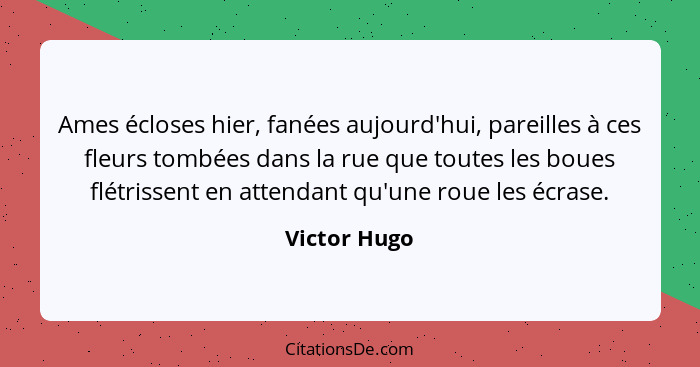 Ames écloses hier, fanées aujourd'hui, pareilles à ces fleurs tombées dans la rue que toutes les boues flétrissent en attendant qu'une r... - Victor Hugo