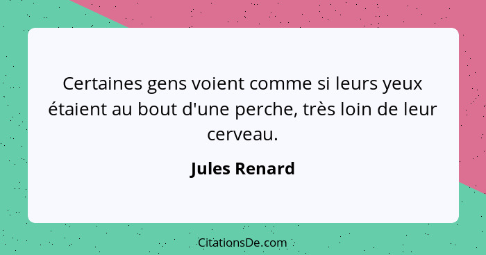 Certaines gens voient comme si leurs yeux étaient au bout d'une perche, très loin de leur cerveau.... - Jules Renard