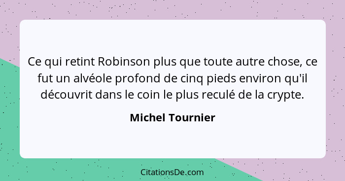 Ce qui retint Robinson plus que toute autre chose, ce fut un alvéole profond de cinq pieds environ qu'il découvrit dans le coin le p... - Michel Tournier