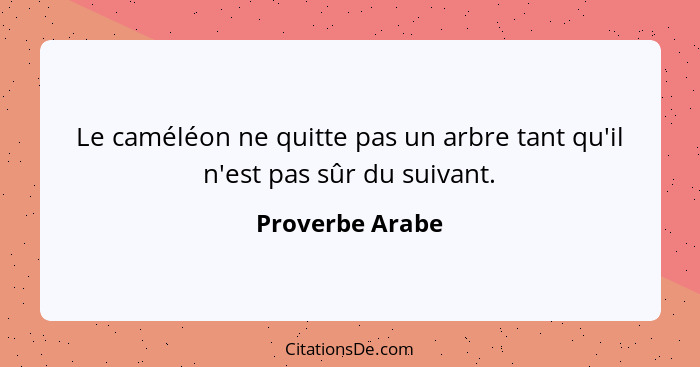 Le caméléon ne quitte pas un arbre tant qu'il n'est pas sûr du suivant.... - Proverbe Arabe