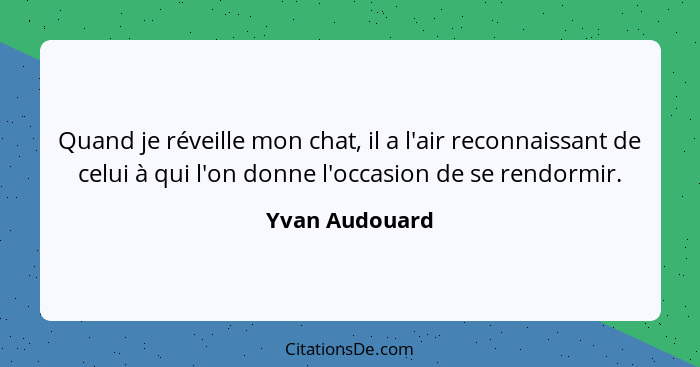 Quand je réveille mon chat, il a l'air reconnaissant de celui à qui l'on donne l'occasion de se rendormir.... - Yvan Audouard