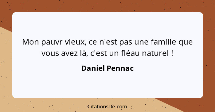 Mon pauvr vieux, ce n'est pas une famille que vous avez là, c'est un fléau naturel !... - Daniel Pennac