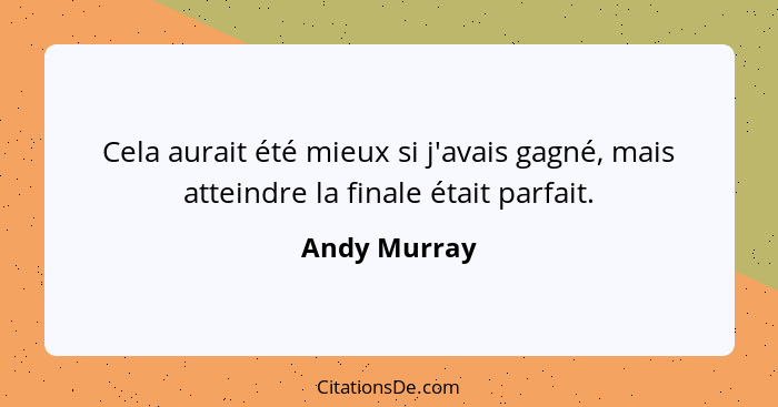 Cela aurait été mieux si j'avais gagné, mais atteindre la finale était parfait.... - Andy Murray