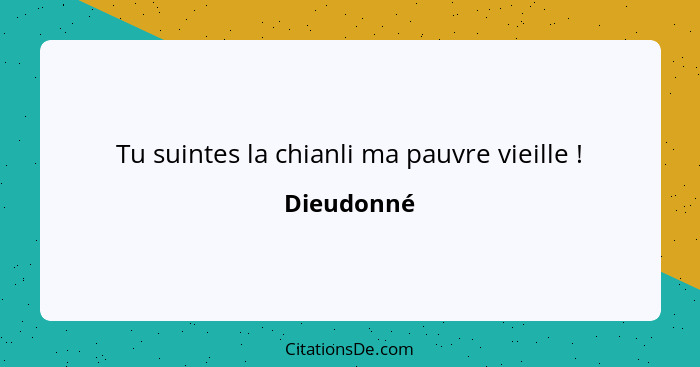 Tu suintes la chianli ma pauvre vieille !... - Dieudonné