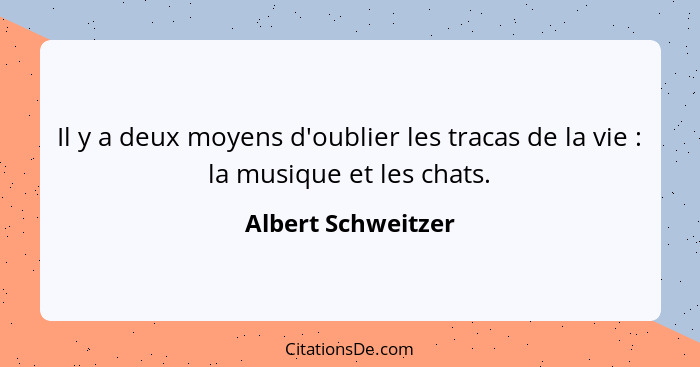 Il y a deux moyens d'oublier les tracas de la vie : la musique et les chats.... - Albert Schweitzer