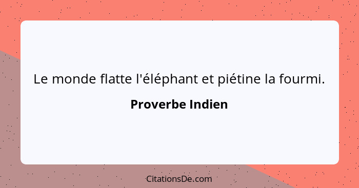 Le monde flatte l'éléphant et piétine la fourmi.... - Proverbe Indien