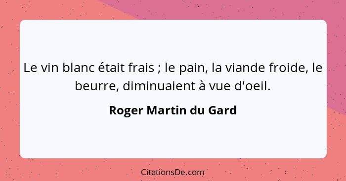 Le vin blanc était frais ; le pain, la viande froide, le beurre, diminuaient à vue d'oeil.... - Roger Martin du Gard