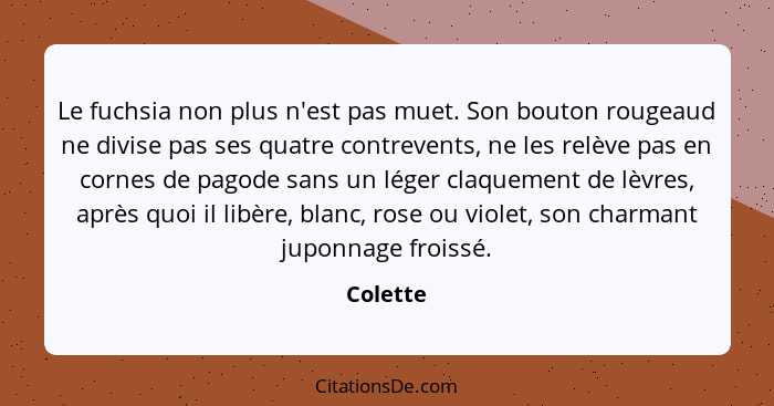 Le fuchsia non plus n'est pas muet. Son bouton rougeaud ne divise pas ses quatre contrevents, ne les relève pas en cornes de pagode sans un... - Colette