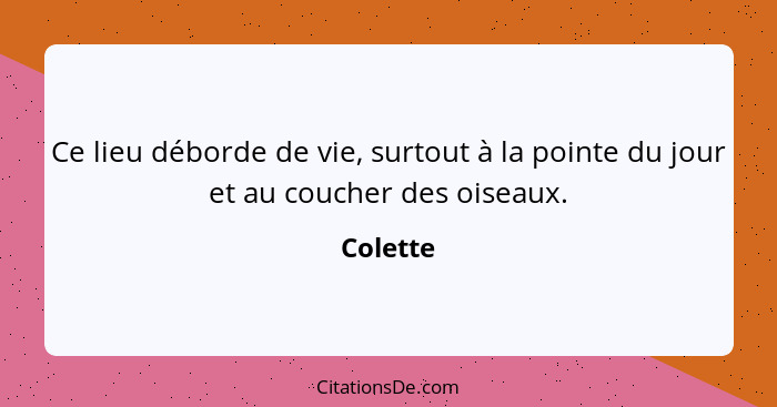 Ce lieu déborde de vie, surtout à la pointe du jour et au coucher des oiseaux.... - Colette