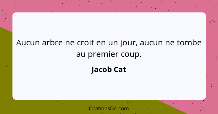 Aucun arbre ne croit en un jour, aucun ne tombe au premier coup.... - Jacob Cat