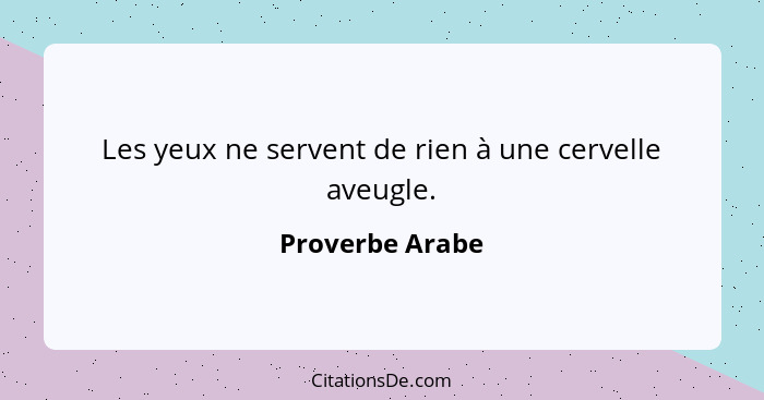 Les yeux ne servent de rien à une cervelle aveugle.... - Proverbe Arabe