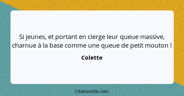 Si jeunes, et portant en cierge leur queue massive, charnue à la base comme une queue de petit mouton !... - Colette